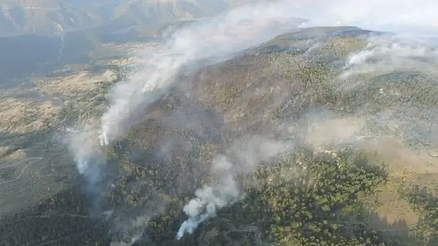 Kastamonu'daki orman yangını söndürüldü