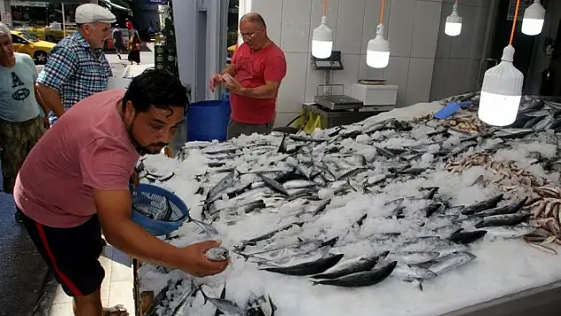 Palamudun fiyatı 2,5 liraya geriledi