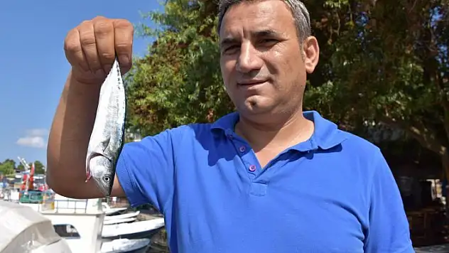 Sezonun ilk palamutları ağlara takılmaya başladı