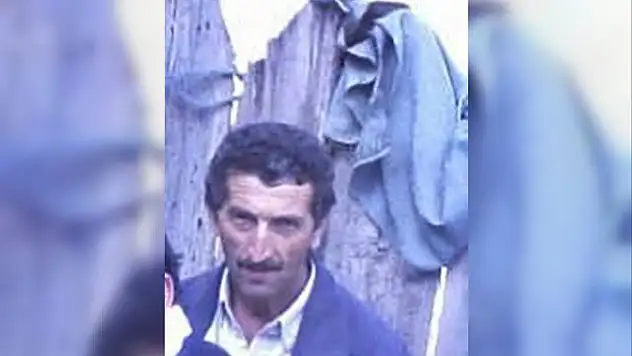 Üzerine ağaç devrilen şahıs, hayatını kaybetti