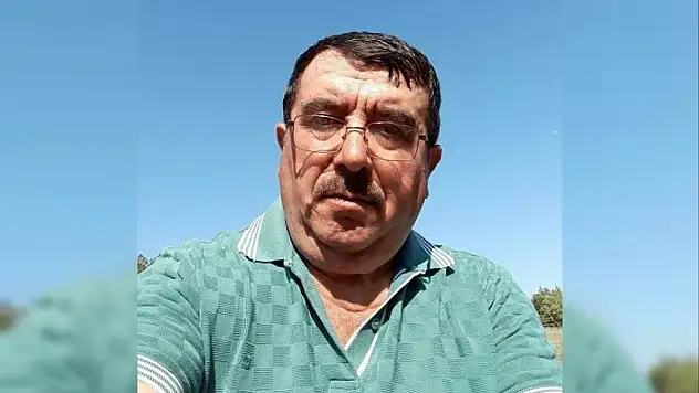 Ceviz toplarken ağaçtan düşen şahıs hayatını kaybetti