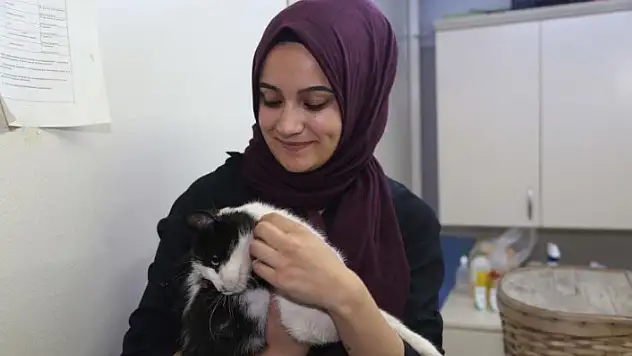 Doluda yaralanan 'Yumak' tedavi ediliyor