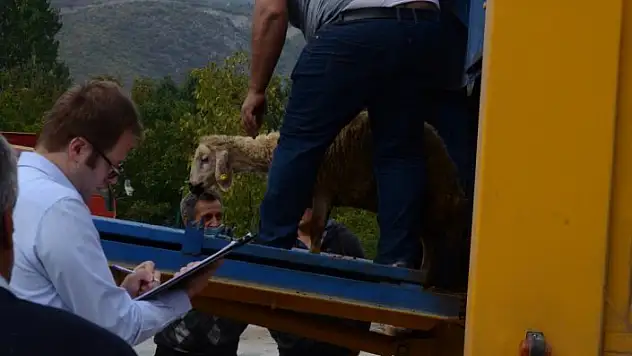 Genç Çiftçi Projesi kapsamında hayvanlar teslim edildi