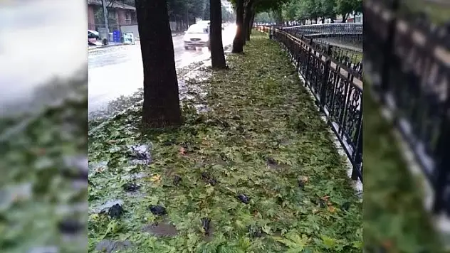 Kastamonu'da dolu yağışında 33 kişi yaralandı