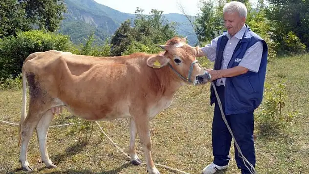 Drone'dan korkan ve tepkileriyle fenomen olan Hasan amca konuştu