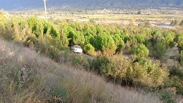 Yoldan çıkan otomobil ağaçlık alana uçtu: 3 yaralı