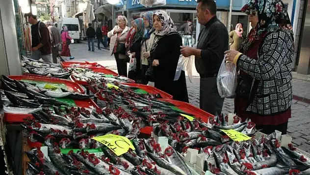 İnebolu'da palamut 2 liraya düştü