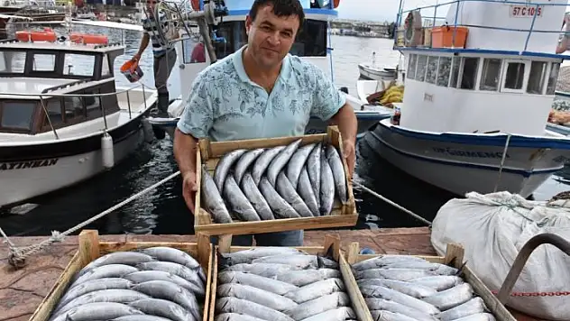 Palamut bereketi balıkçılarda hamsi tedirginliğine yol açtı