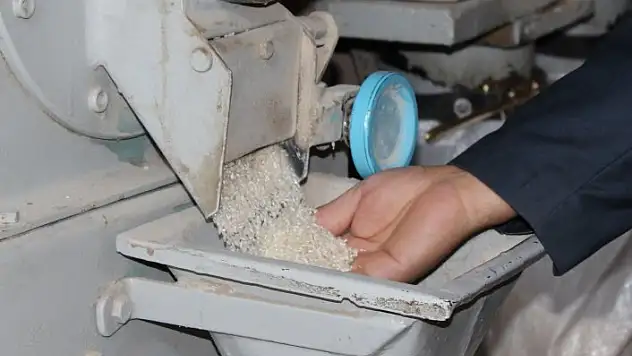 Yeni mahsul pirinç, fiyatları düşürdü