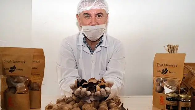 Alzheimer ve kanser hastalıklarının önleyicisi 'siyah sarımsak' Avrupa'ya ihraç edilecek