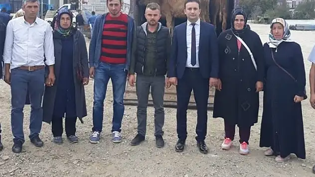 Daday'da Genç Çiftçilere düveleri dağıtıldı