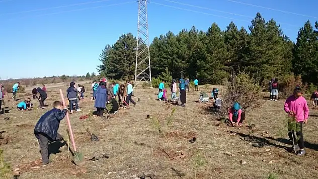 İhsangazi'de fidan dikimi yapıldı