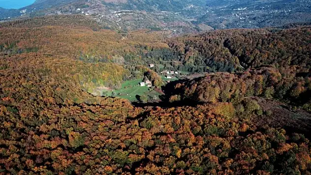 Kastamonu'da sonbahar renklerinin görsel şöleni