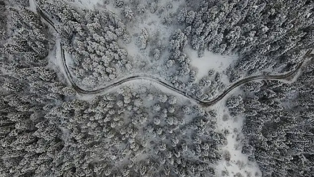 Kastamonu ormanlarında 'beyaz örtü'nün görsel şöleni