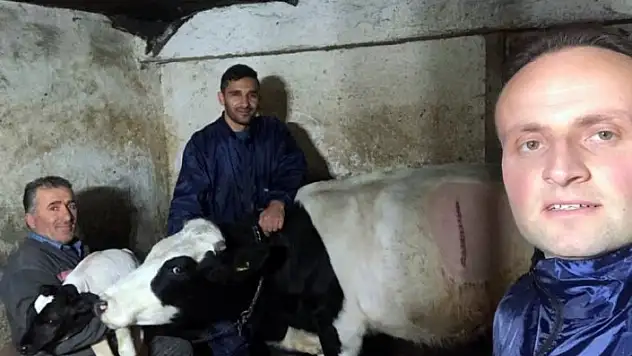 Prematüre buzağı 'Kubilay'ı ölmesin diye evinde besliyor