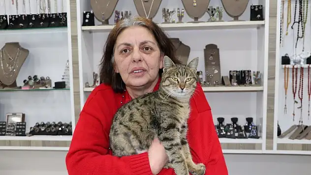 Tavşanın okul duvarına asılarak derisinin yüzülmesine tepki