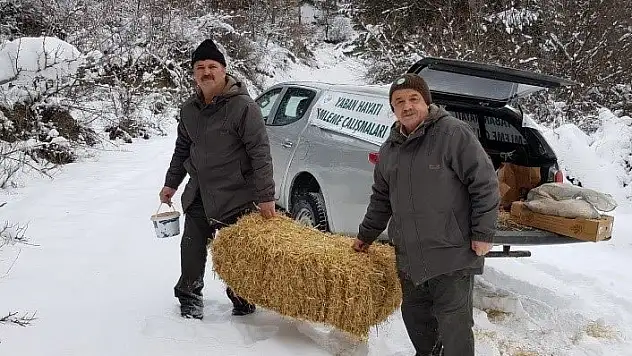 Doğa Koruma ve Milli Parklar doğal hayata yiyecek bıraktı
