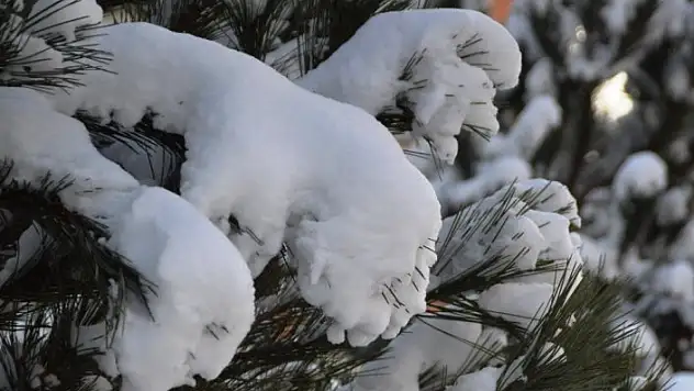 Kar yağışı nedeniyle okulları tatil olan çocuklar karın keyfini çıkardı