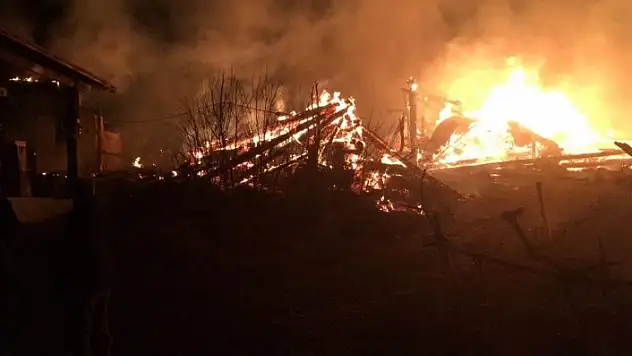 Kastamonu'da çıkan yangın 2 ev ve 2 ahırı kül etti