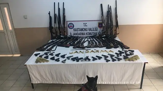 Kastamonu'da ruhsatsız silahları 'Chckky' buldu