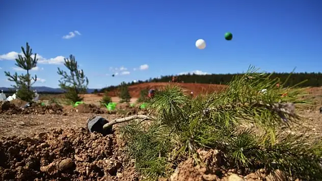 180 fidan 180 öğrencinin eliyle toprağa dikildi