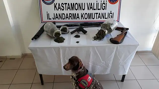 Jandarma uyuşturucu operasyonu yaptı