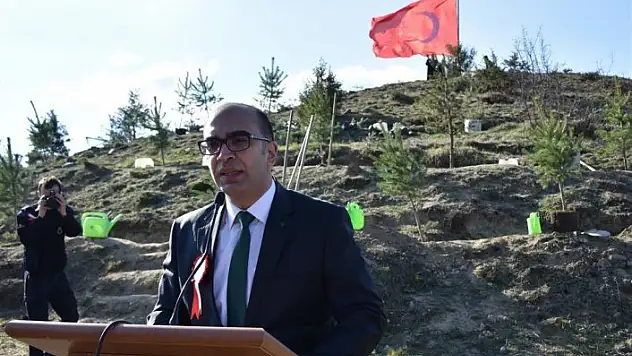 Kastamonu'da 'Adalet Ormanı' oluşturuldu