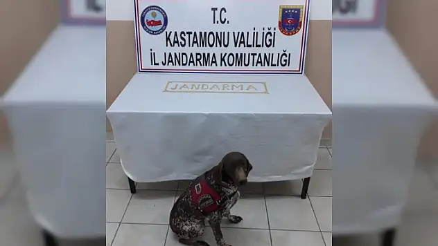 Kastamonu'da bin 72 adet uyuşturucu hap ele geçirildi