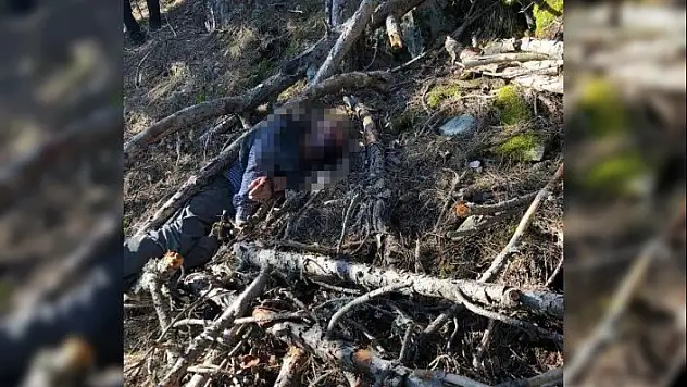 Süpürge otu kesmek için evinden ayrılan kişi ölü bulundu