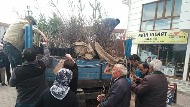 Daday Orman İşletmesi, 6 bin adet fidan dağıttı
