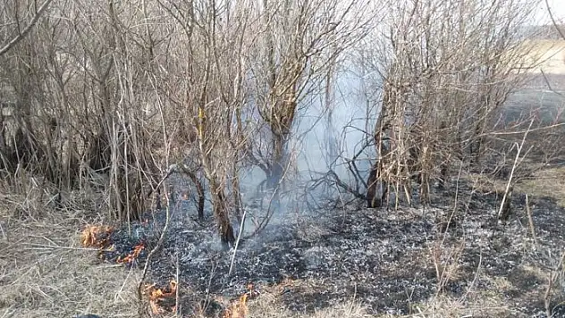 Daday'da sazlıkta çıkan yangın söndürüldü