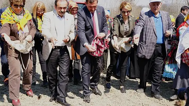 Kastamonu'da 'Kendir Ekim Şenliği' düzenlendi