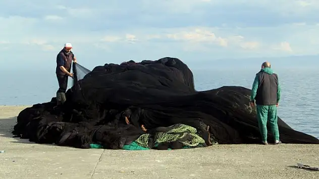 'Palamut sevindirdi hamsi üzdü'