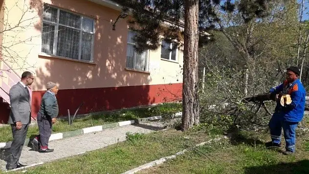 Tosya Belediyesi, mesire alanlarında bakıma çalışmalarını sürdürüyor