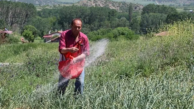 'Mayıs ve haziranda satılan sarımsaklar Taşköprü sarımsağı değildir'