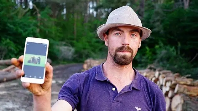 Anne ayı, orman işçilerini rehin aldı