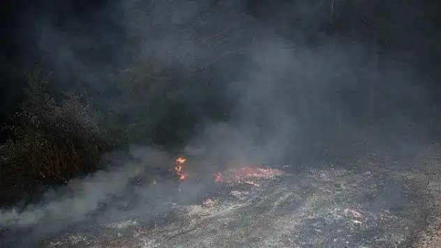 Anında müdahale ormanı yanmaktan kurtardı