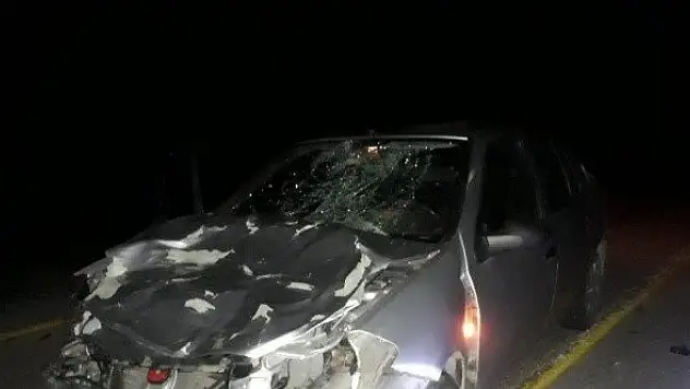 Büyükbaş hayvana çarpan otomobil, kanala düştü