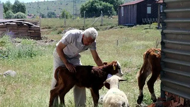 "Hayatın tadını köyümüze geldiğimizde aldık"