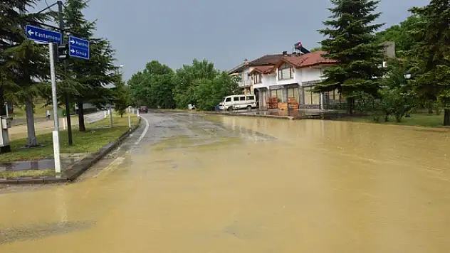 Kastamonu'da hayvanlar sele kapıldı