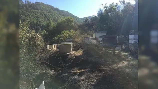 Kastamonu'da ormanlık alanda yangın çıktı