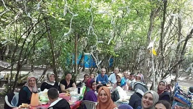 Devrekanili kadınlar, kültür ve doğa gezisinde buluştu