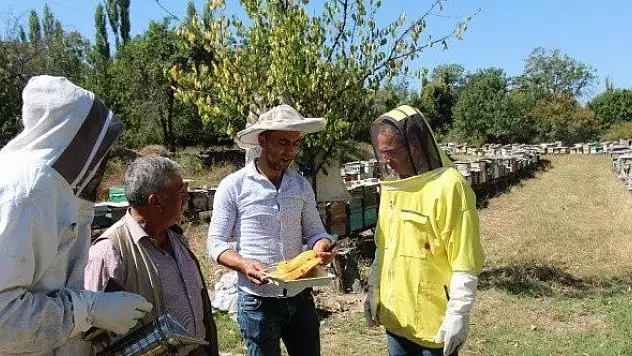 Kaymakam Pişkin, &quotVerimi yüksek olan arıcılığı ilçemizde geliştirmeliyiz&quot