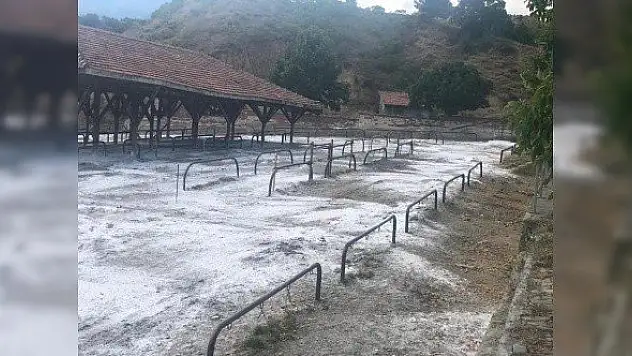 Tosya Belediyesinden hayvan pazarında hastalık tedbiri 