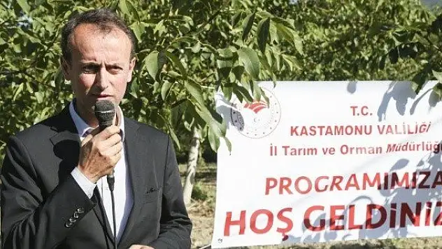 Abana'da ceviz hasat şenliği düzenlendi