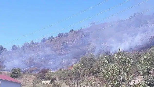 Kastamonu'da ormanlık alanda yangın çıktı