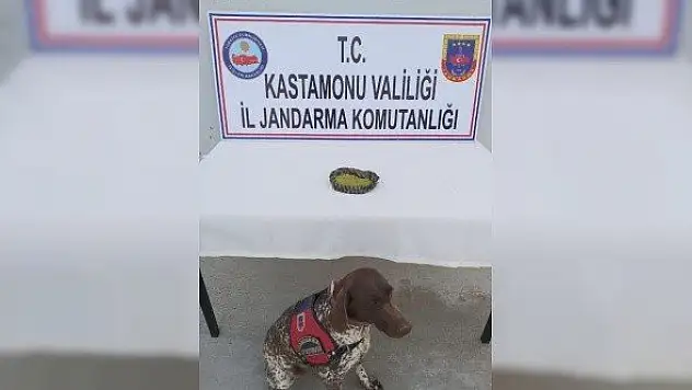 Kastamonu'da toz esrar ele geçirildi