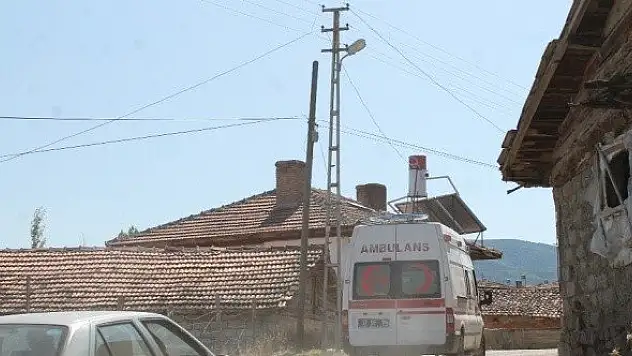 Tosya'da cevizden düşen kişi yaralandı