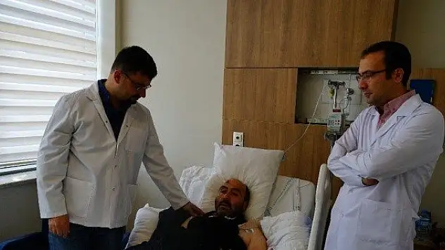 Ceviz ve kestane ağacından düşen 150 kişiden 15'i yoğun bakımda