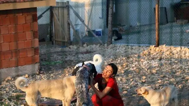 Köpeklerin mutlu olduğu köy